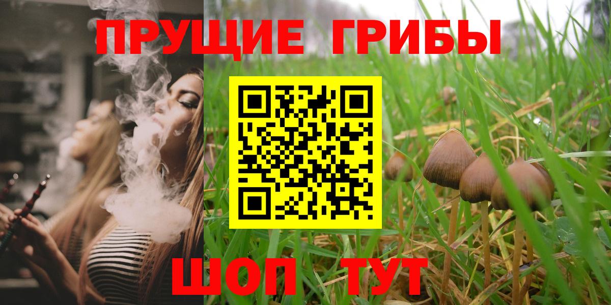 Псилоцибиновые грибы GOLDEN TEACHER Шебекино